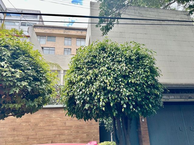 place photo 35