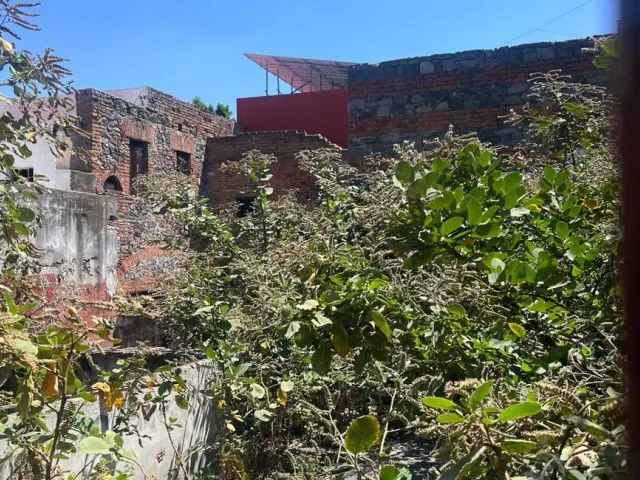 place photo 16