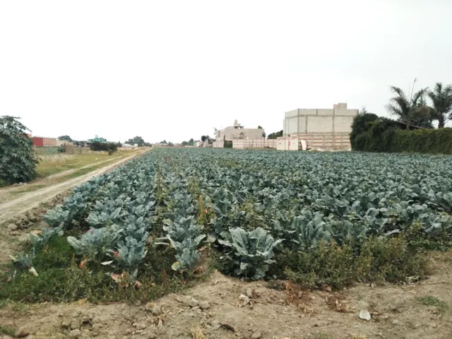 Terreno De 2,666m2 A Pie De Calle En Zerezotla Cerca Del Cerro Zapoteca.