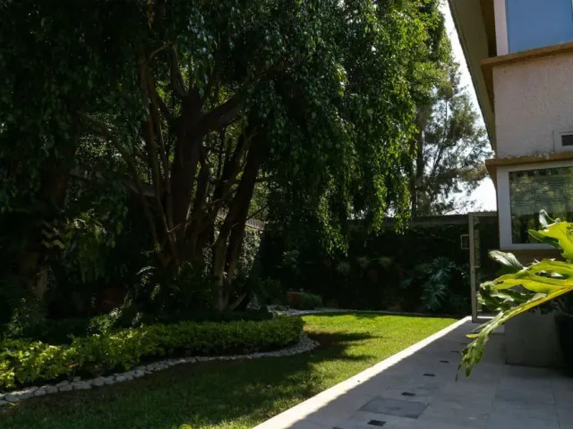 place photo 36