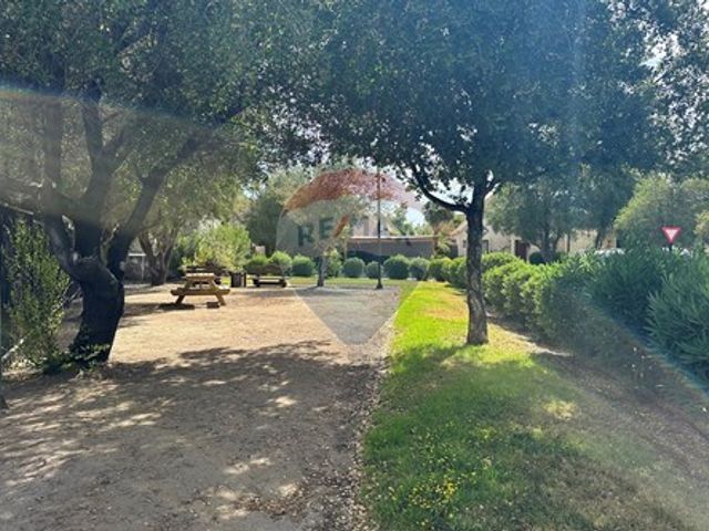 place photo 31