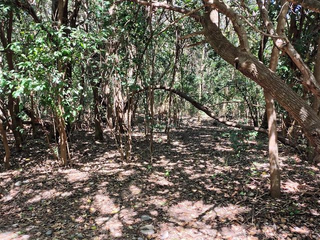 place photo 47