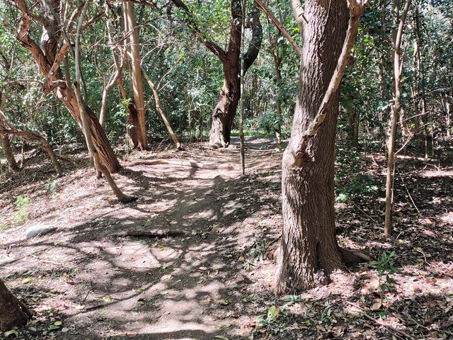 place photo 48