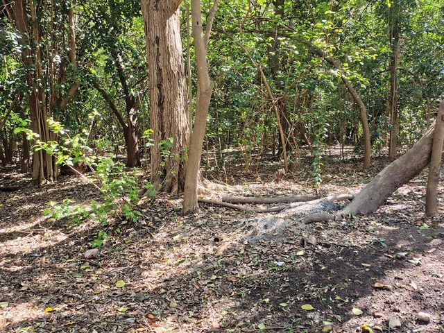 place photo 45