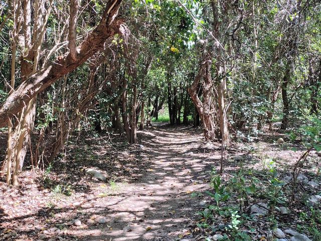 place photo 46
