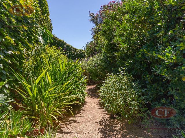 place photo 73