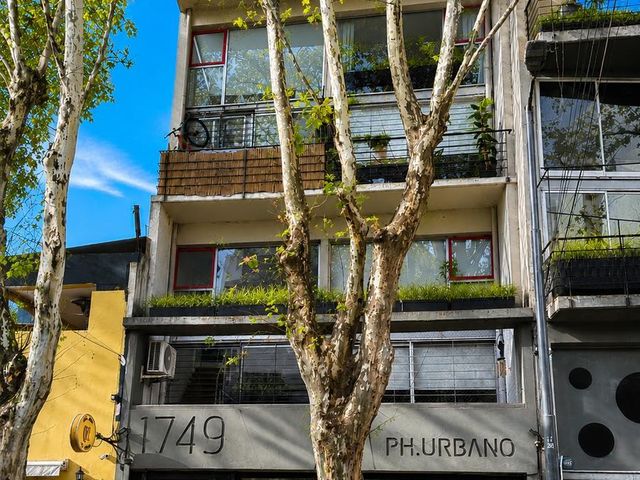 place photo 22