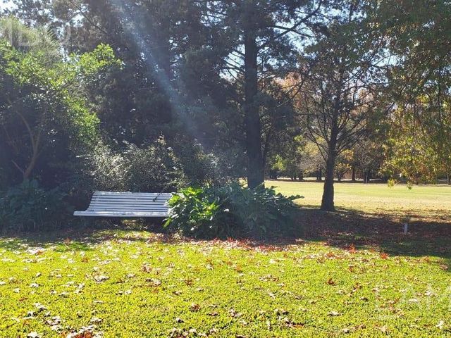 place photo 39