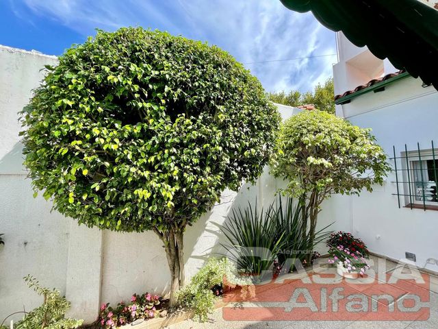 place photo 40