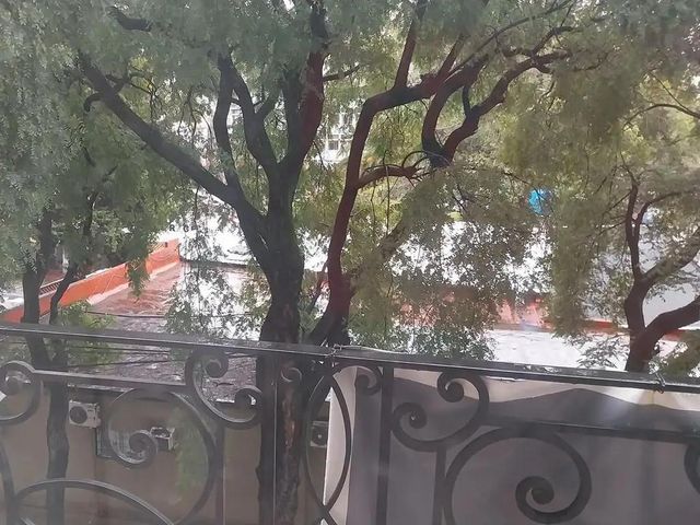 place photo 44