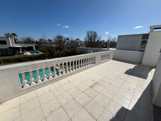 place photo 44