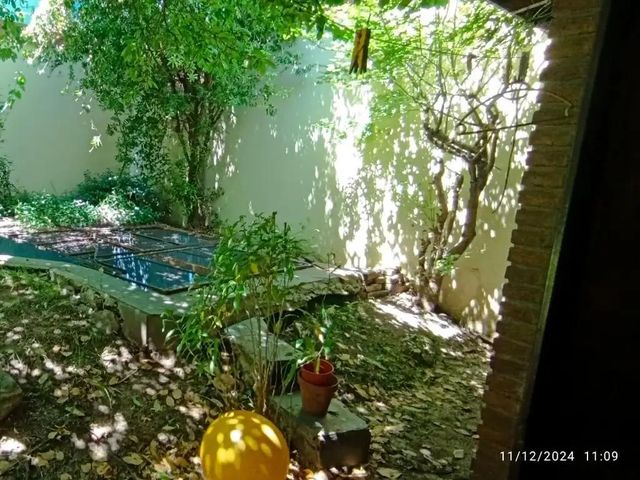place photo 31