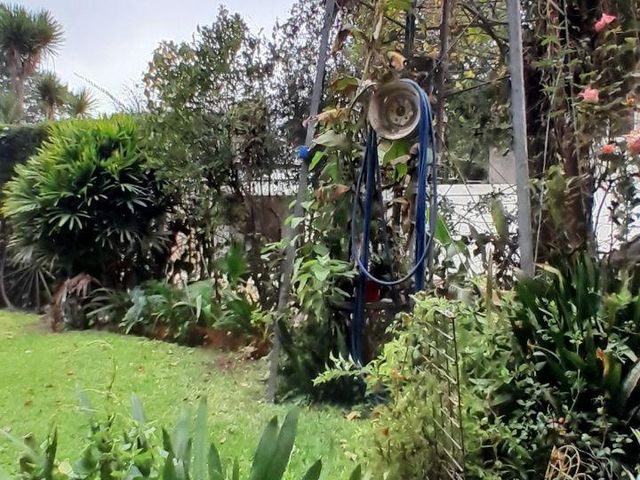 place photo 59