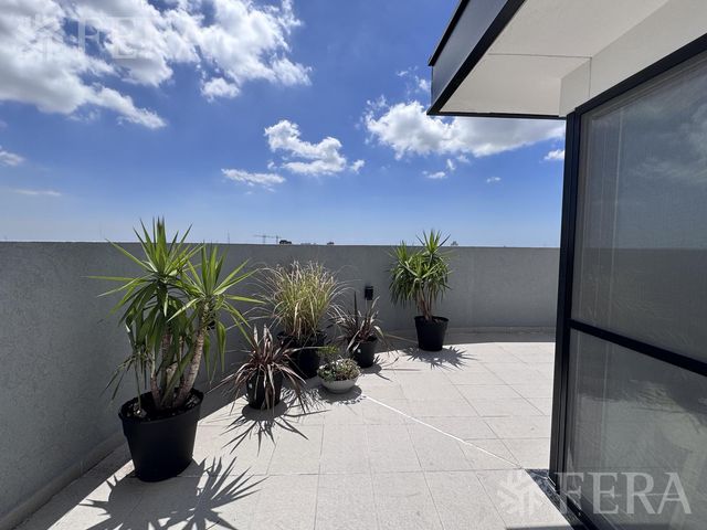 place photo 44