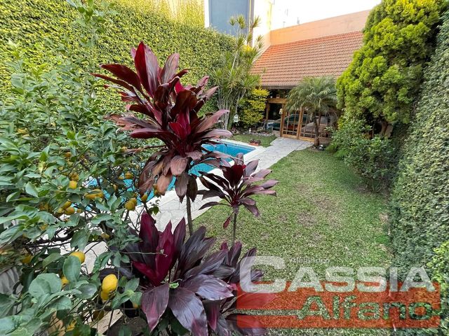 place photo 84