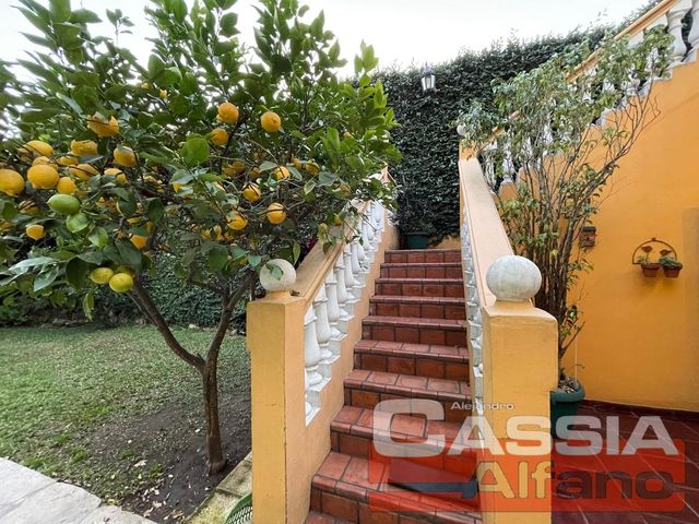 place photo 75