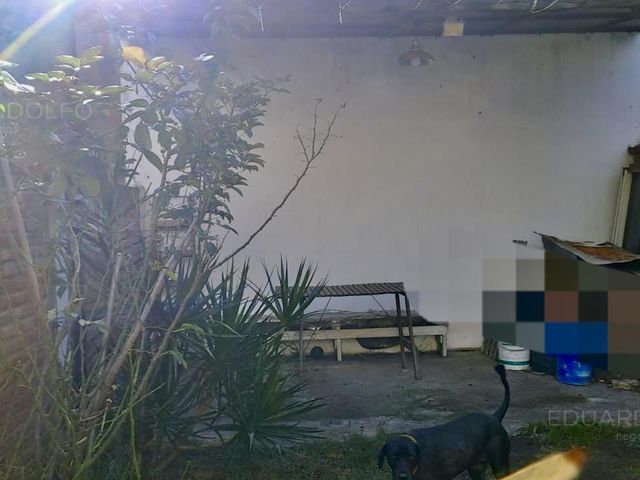place photo 20