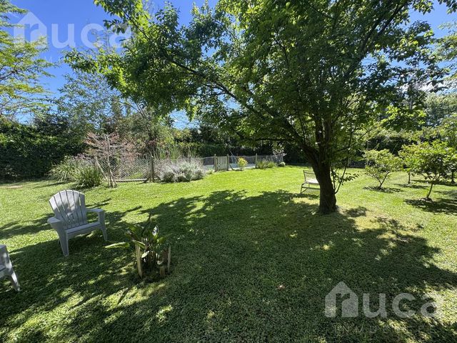 place photo 46