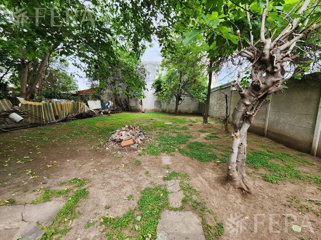 place photo 24