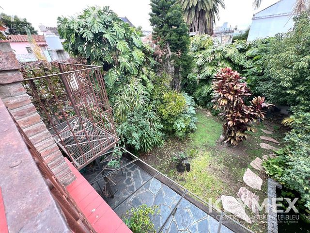place photo 32