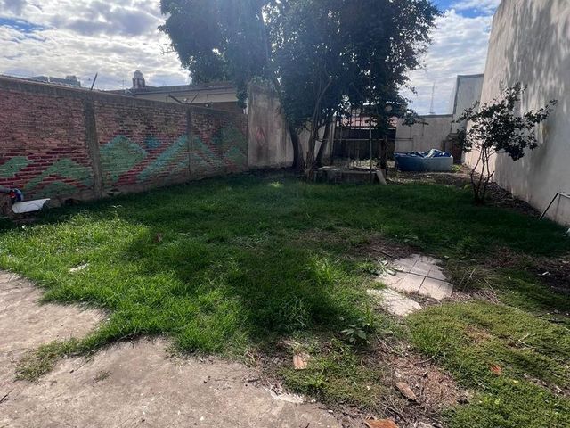 place photo 14