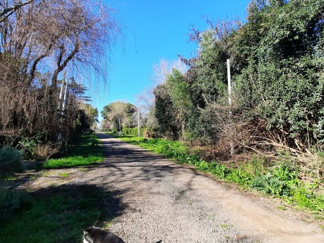 place photo 47
