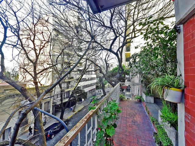 place photo 38