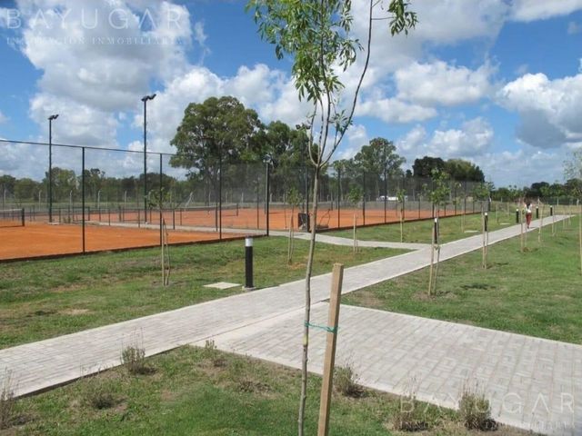place photo 4