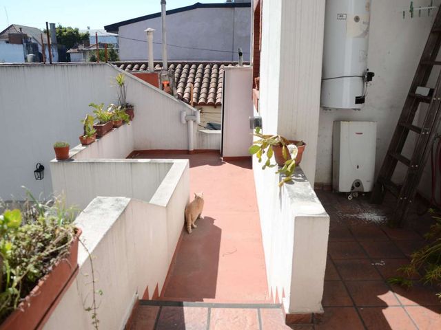 place photo 34