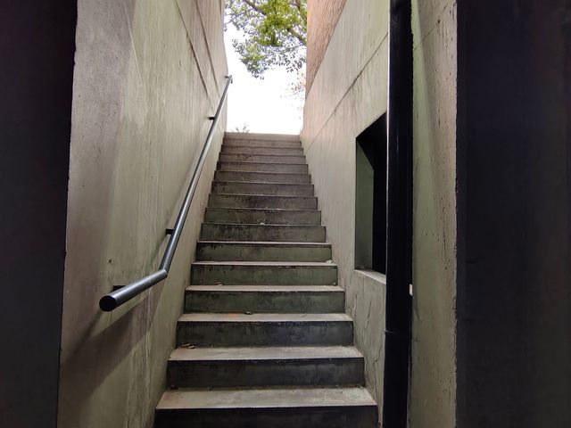 place photo 39