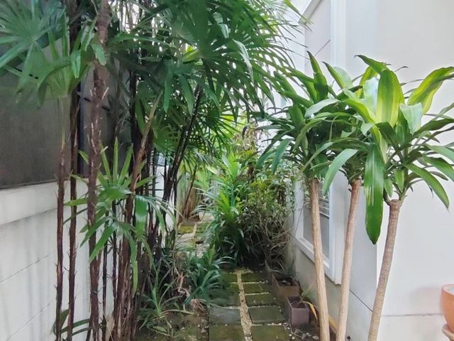place photo 40