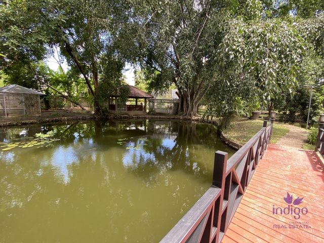 place photo 58