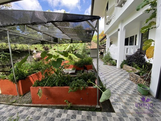 place photo 57
