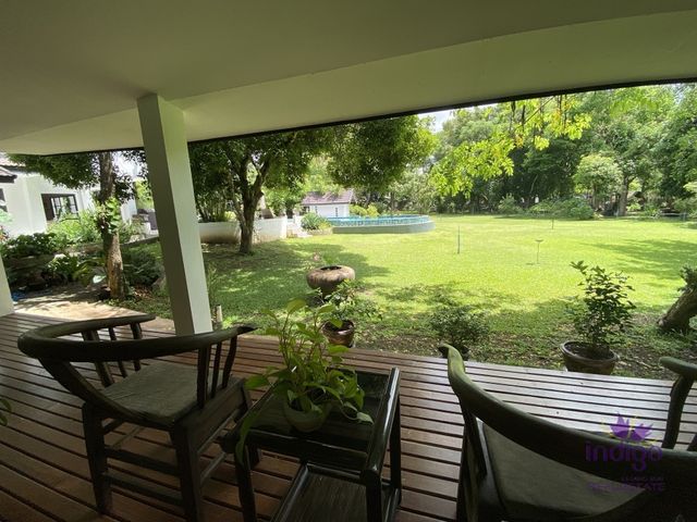 place photo 48