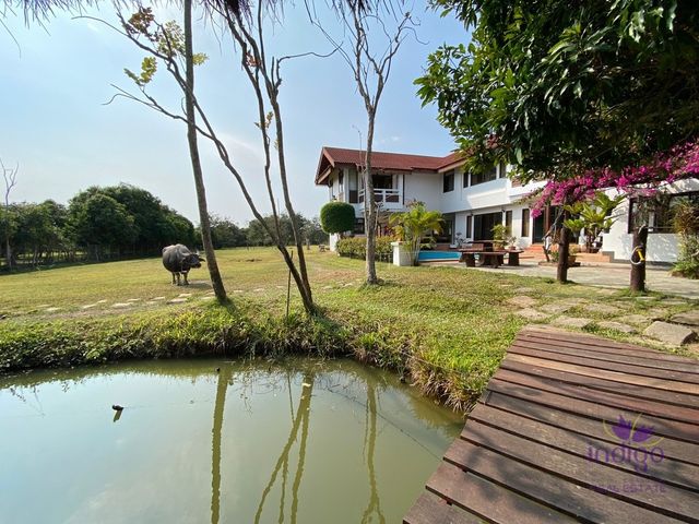 place photo 46