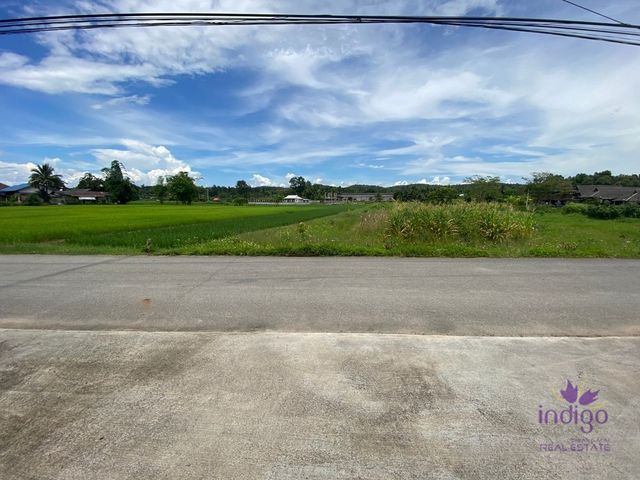 place photo 36