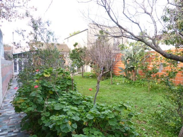 place photo 16