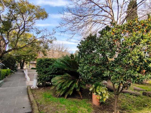 place photo 36