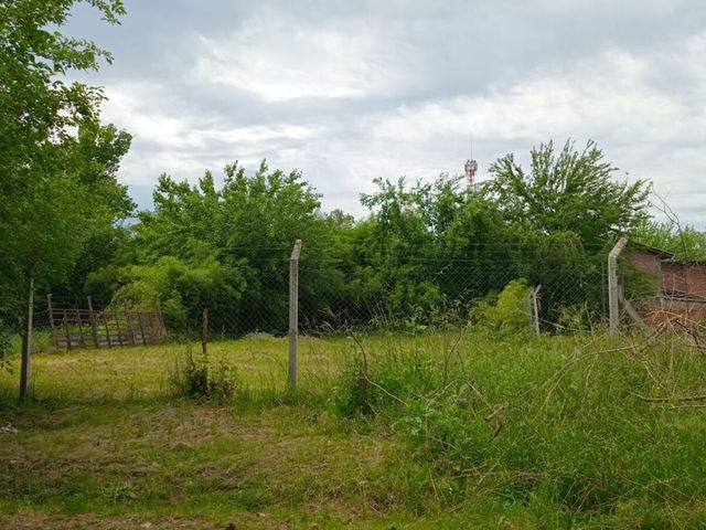 place photo 17
