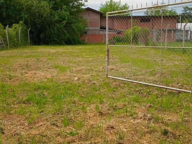 place photo 6