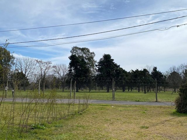 place photo 8