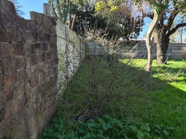 place photo 33