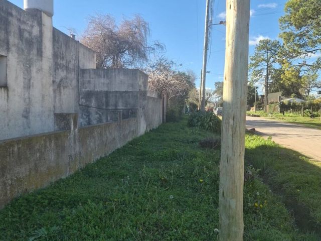 place photo 44
