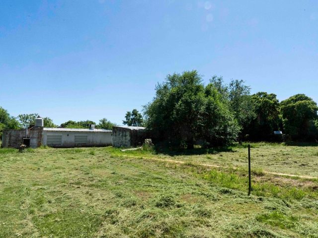 place photo 34