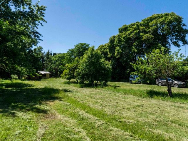 place photo 36