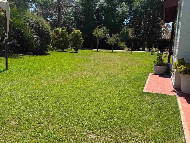 place photo 42