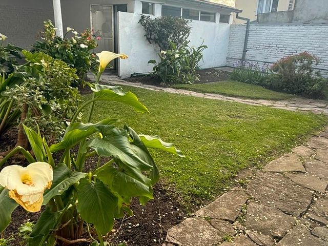 place photo 43