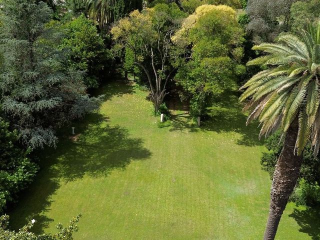 place photo 45