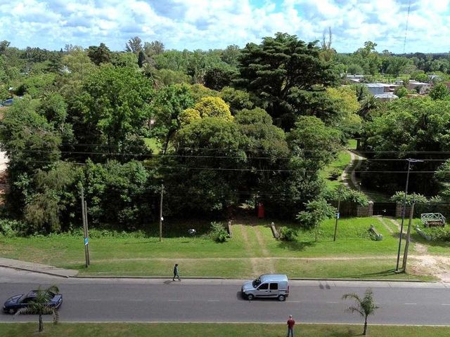 place photo 52