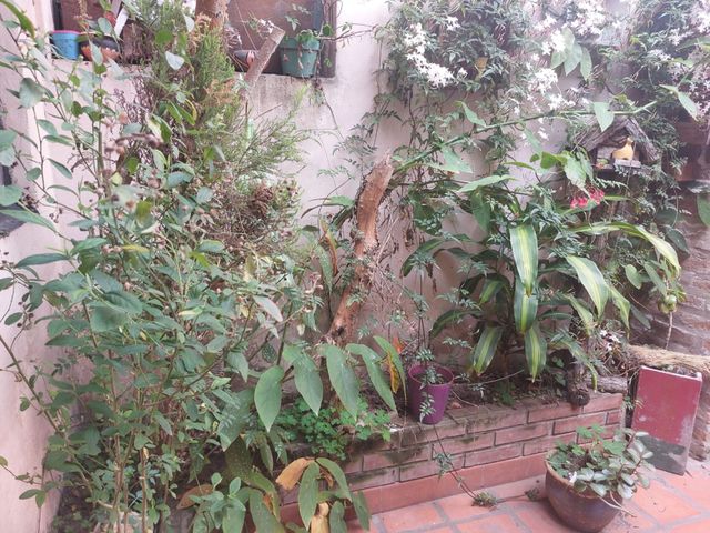 place photo 19